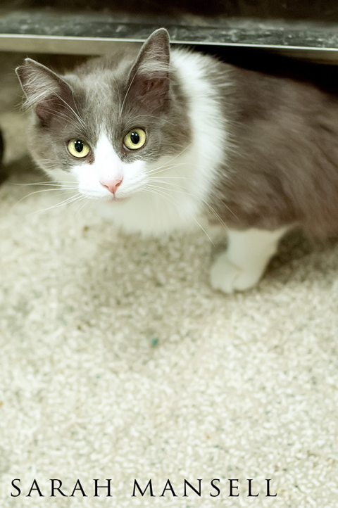 DSC_6607